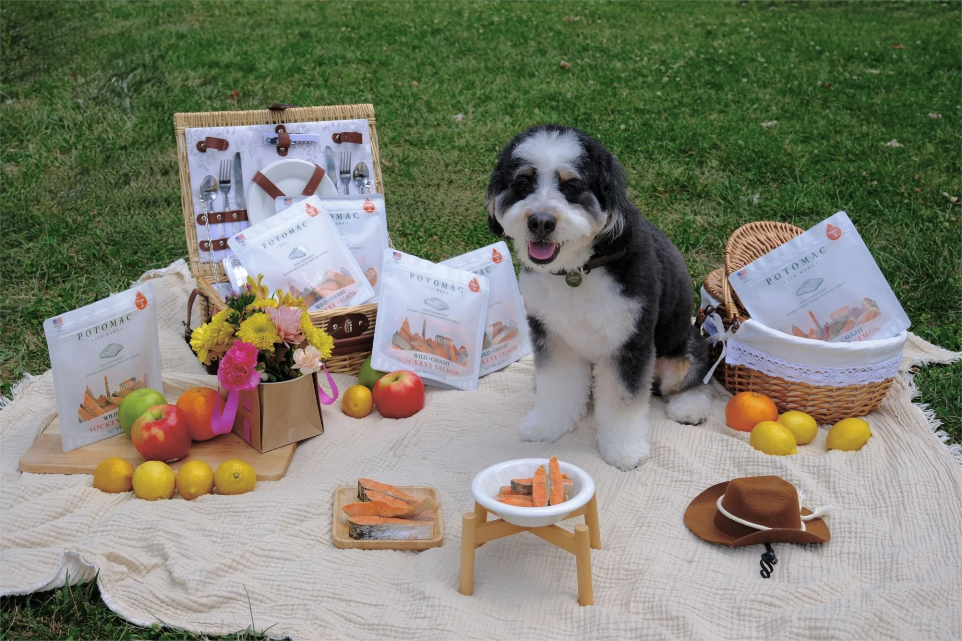 Mochi on a picnic blanket beside pouches of Potomac Fur Mama treats