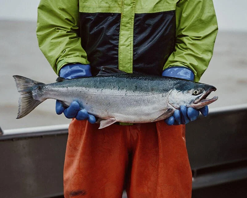 An Alaskan fisherman holding a freshly caught sockeye salmon