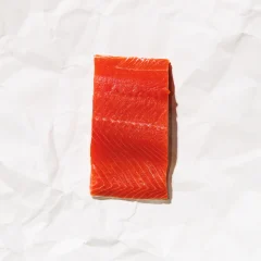 Sockeye salmon